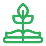 Life Skills Facilitator